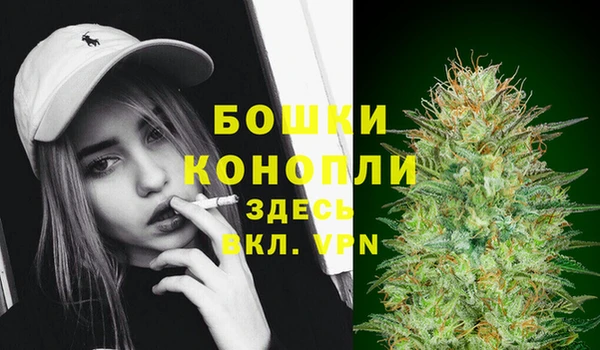 ПСИЛОЦИБИНОВЫЕ ГРИБЫ Бородино