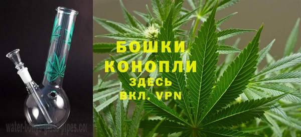 ПСИЛОЦИБИНОВЫЕ ГРИБЫ Бородино
