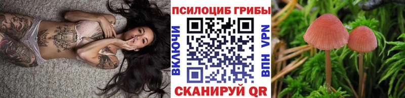 Купить Бодайбо Псилоцибиновые грибы Magic Shrooms
